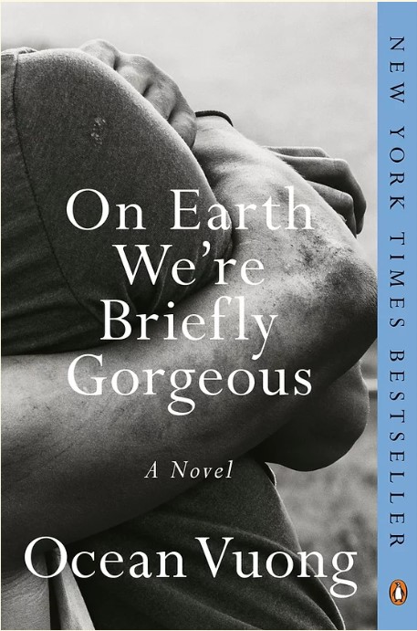 Book cover: On Earth We're Briefly Gorgeous