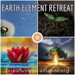 Earth Element Mindfulness Retreat & World Environment Day Picnic @ Wyandotte County Lake Park Shelter #4