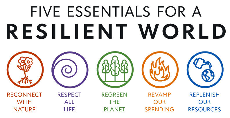 Graphic listing the Five Essentials for a Resilient World