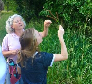 Photo of two people looking at a Big Bluestem sheath.